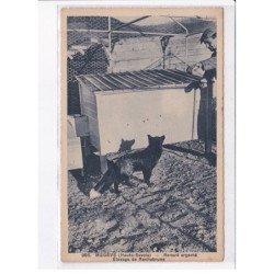 MEGEVE: renard argenté, élevage de rochabrune - très bon état