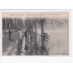 ANNECY: crue du 21 janvier 1910, l'avenue d'albigny, photographe - très bon état