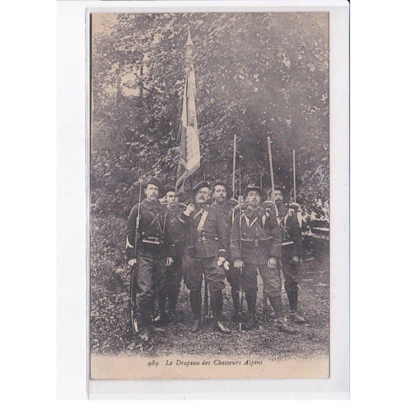 HAUTE SAVOIE: le drapeau des chasseurs alpins - très bon état