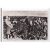 TOURNUS : scene de vendanges - tres bon etat