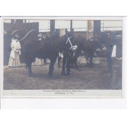 PARIS: concours central d'animaux reproducteurs anesses 1er prix - très bon état