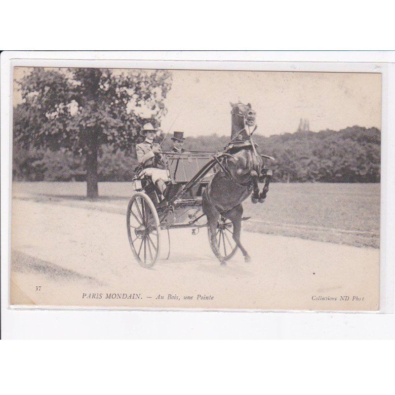 PARIS: paris mondain, au bois, une pointe - état