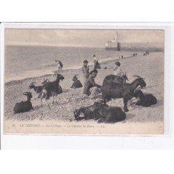 LE TREPORT: sur la plage, le chevrier du béarn - état