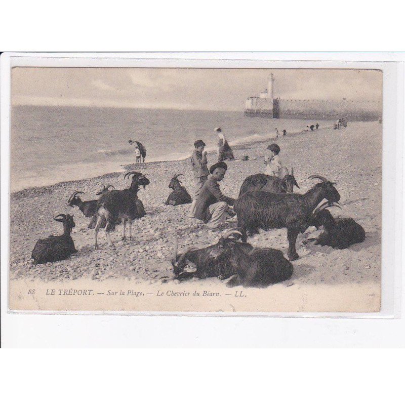 LE TREPORT: sur la plage, le chevrier du béarn - état