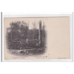 SAINT-VINCENT-de-LOROUER : foret dale de bercé - tres bon etat