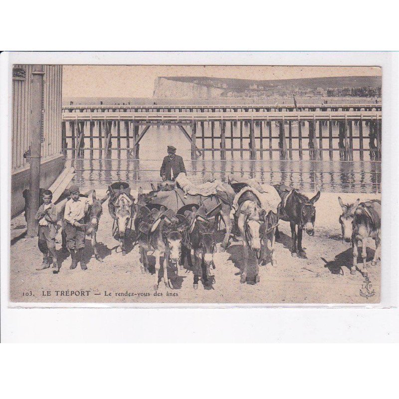 LE TREPORT: le rendez-vous des ânes - très bon état