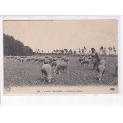 CHAILLY-en-BIERE: moutons en plaine - très bon état