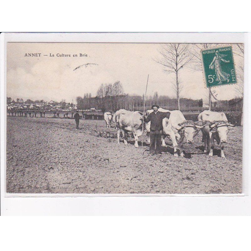 ANNET: la culture en brie - état