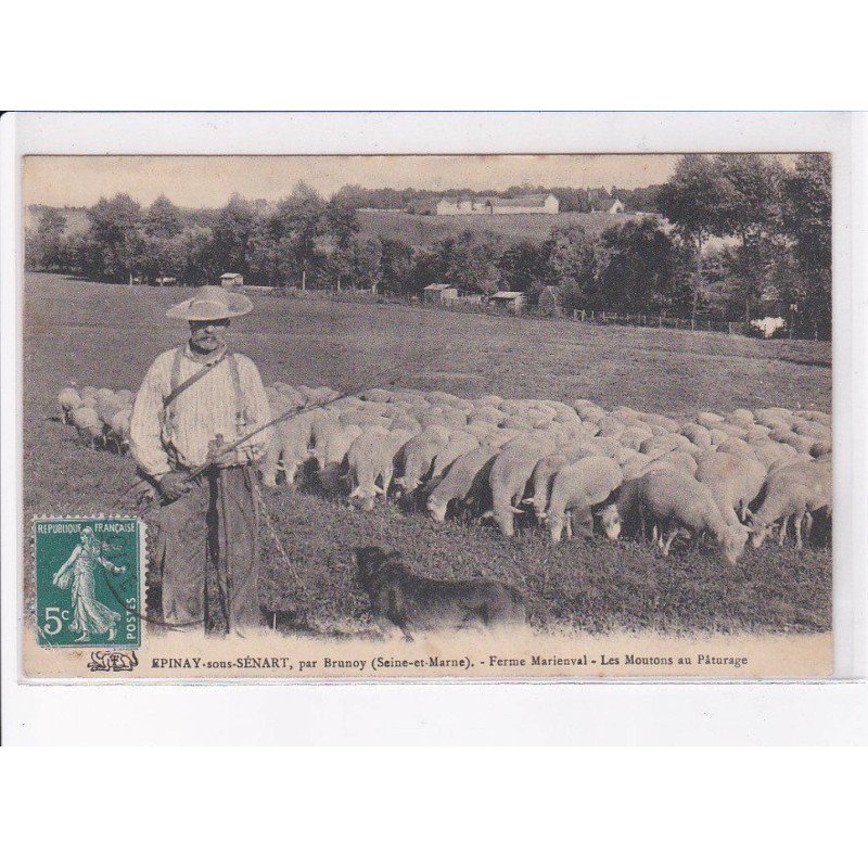 EPINAY-sous-SENART: ferme marienval, les moutons au pâturage - état