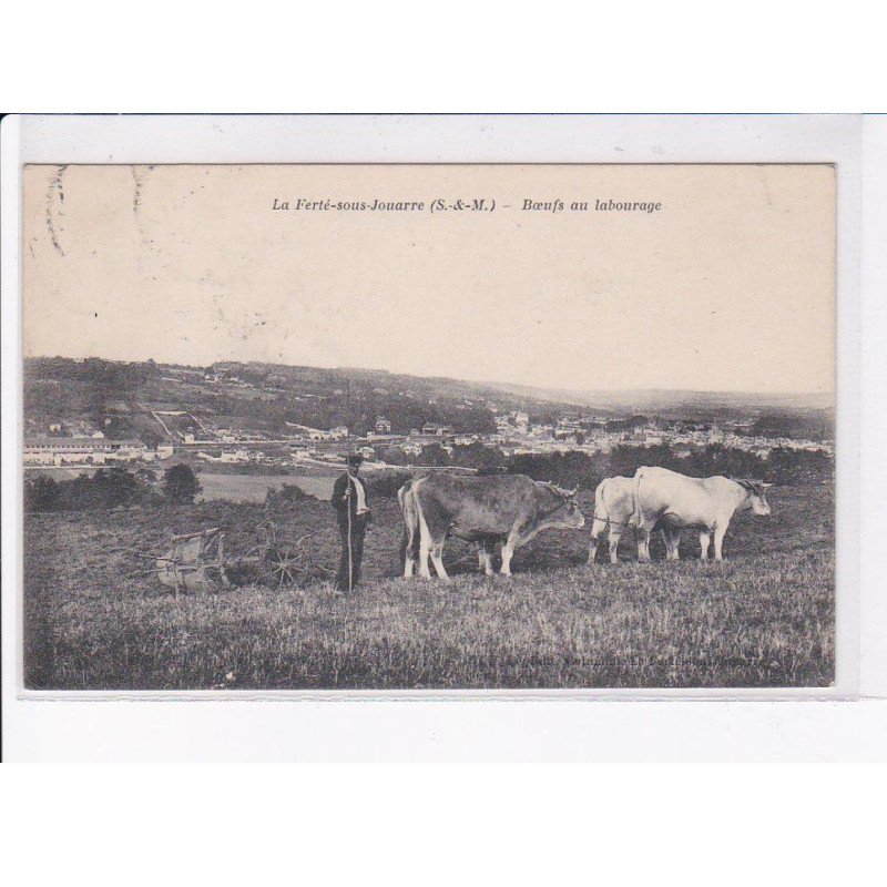 LA FERTE-sous-JOUARRE: boeufs au labourage - très bon état