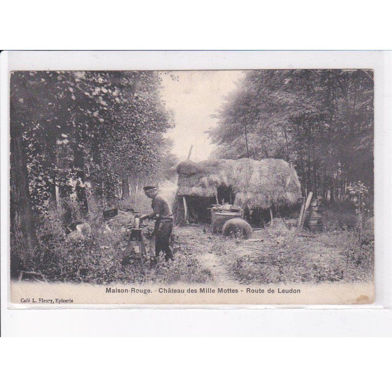 MAISON-ROUGE: château des mille mottes, route de leudon - état