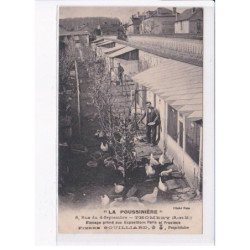 THOMERY: "la poussinière", elevage primé aux expositions paris et province - très bon état