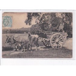 GRIGNON: école de grignon, maison du cantonnier et transport de terre, attelage de boeufs - état