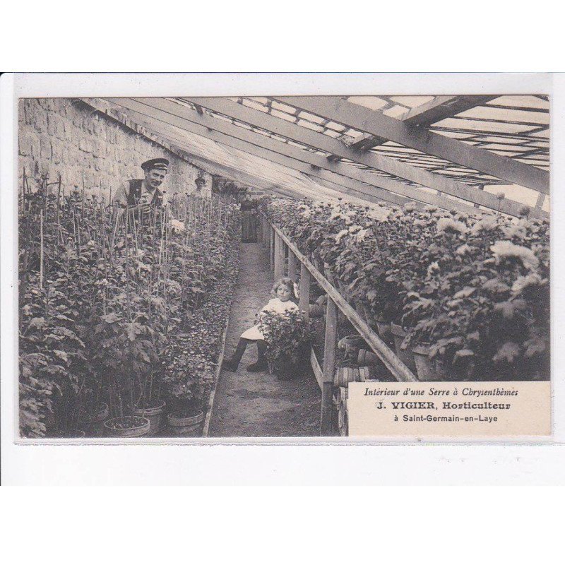 SAINT-GERMAIN-en-LAYE: intérieur d'une serre à chrysenthèmes, J. Vigier horticulture - très bon état