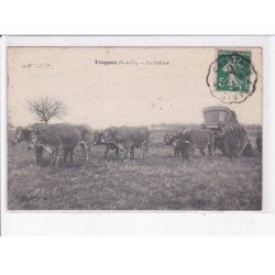 TRAPPES: la culture - état