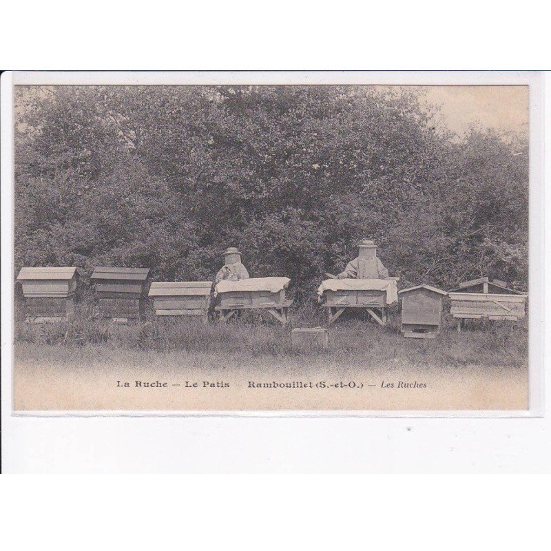 RAMBOUILLET: le patis, la ruche, les ruches - très bon état