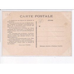 RAMBOUILLET: la ruche, le patis, les plus petits - très bon état