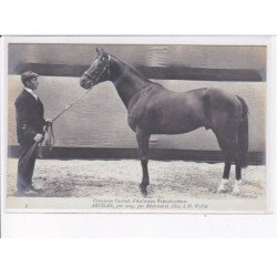 YVELINES: concours central d'animaux reproducteurs, artisan pur sang par révérend et alice à M. Wallet - très bon état