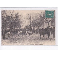 BRIOUX-sur-BOUTONNE: foire du 20 novembre, industrie mulassière - état