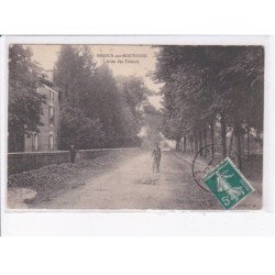 BRIOUX-sur-BOUTONNE: aillée des tilleuls - état