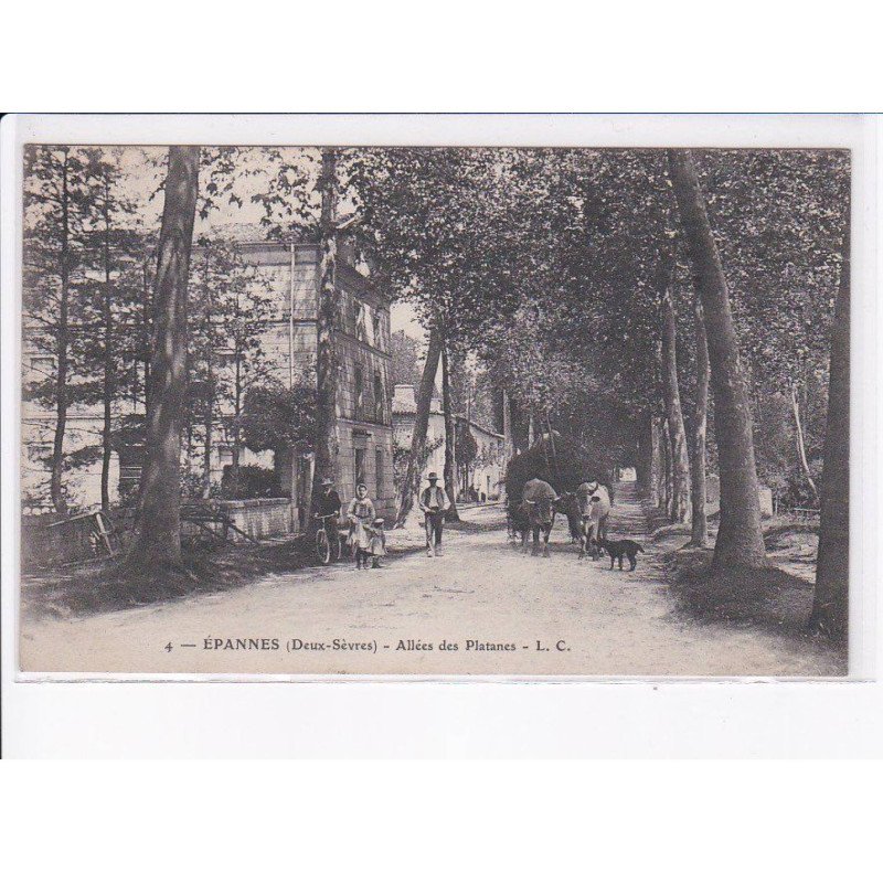 EPANNES: allées des platanes - état