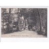 EPANNES: allées des platanes - état
