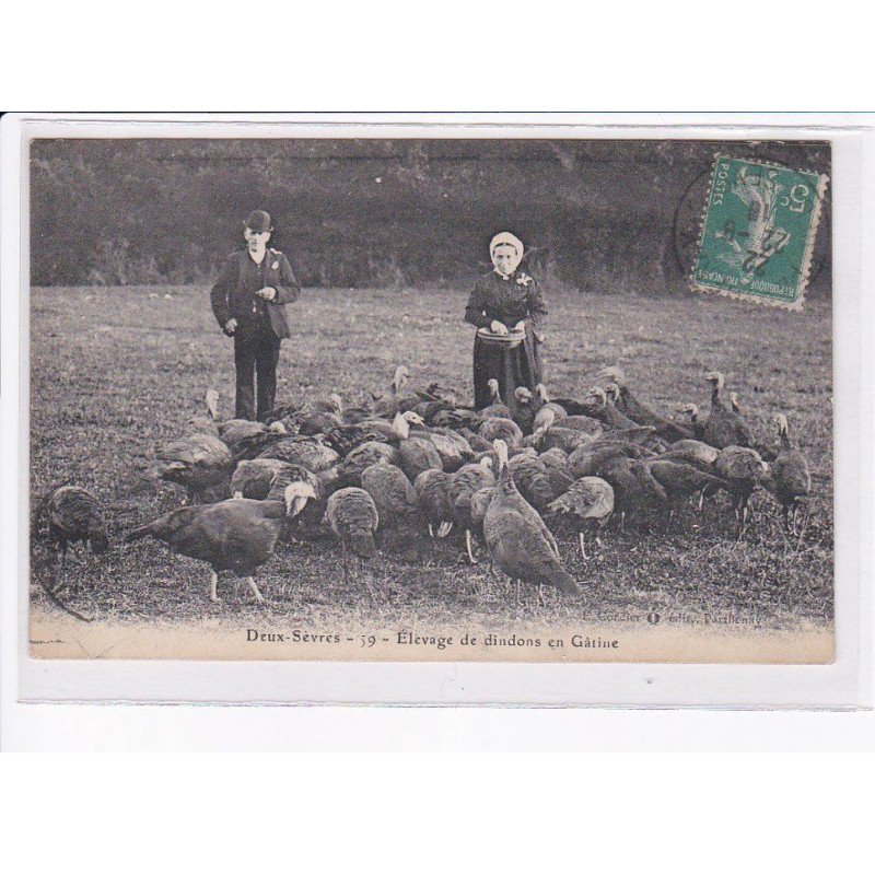 DEUX-SEVRES: élevage de dindons en gâtine - état