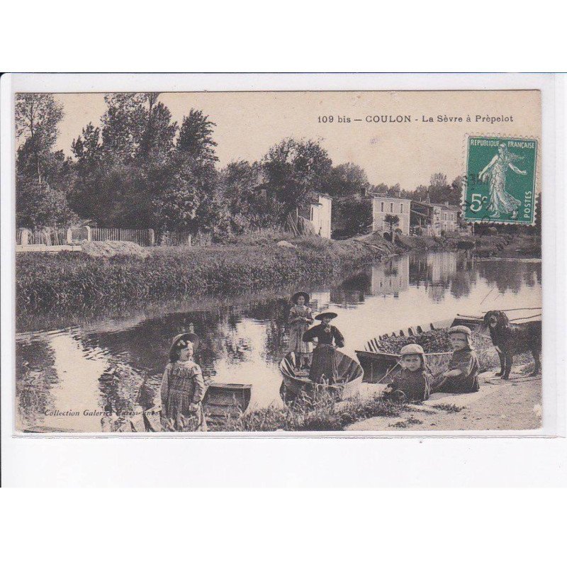 COULON: la sèvre à prépelot - très bon état