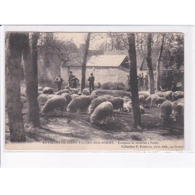 PENDE: troupeau de moutons - très bon état