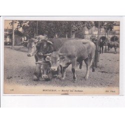 MONTAUBAN: marché aux bestiaux - très bon état