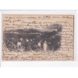 VAR: vin blanc de cassis, clos valbruyères, les vendanges - état