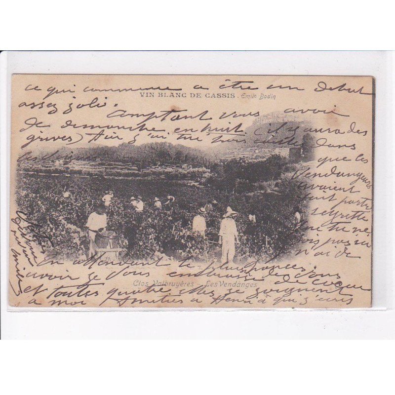 VAR: vin blanc de cassis, clos valbruyères, les vendanges - état