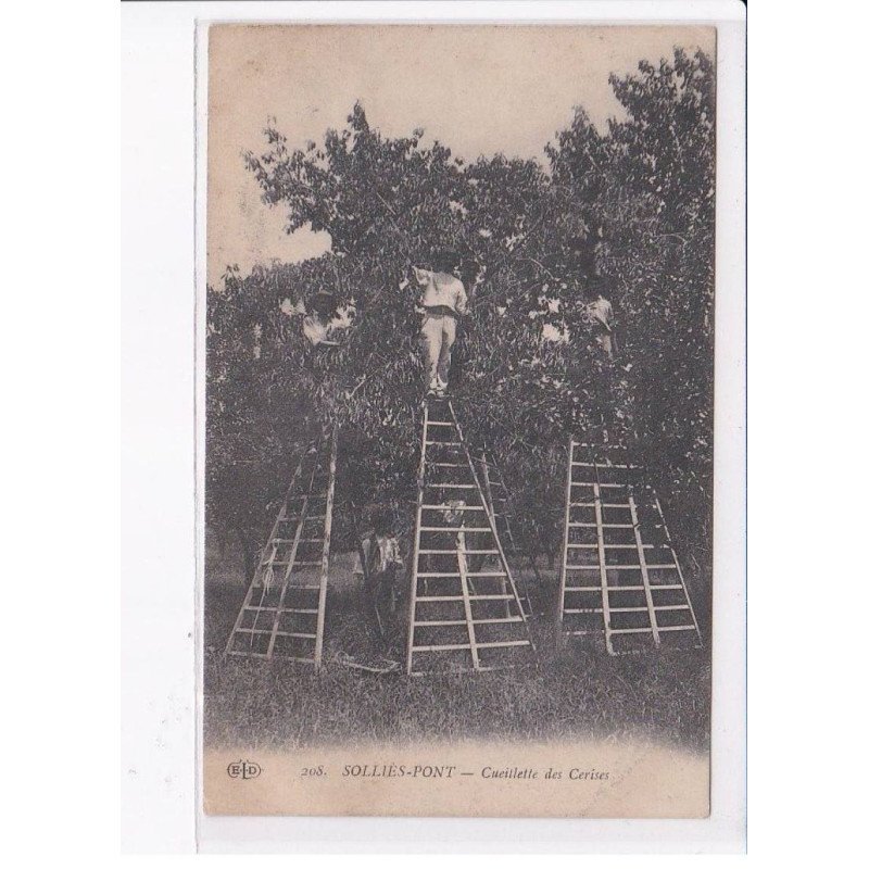 SOLLIES-PONT: cueillette des cerises - très bon état