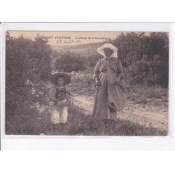 LE. MONT-VENTOUX: cueillette de la lavande - très bon état