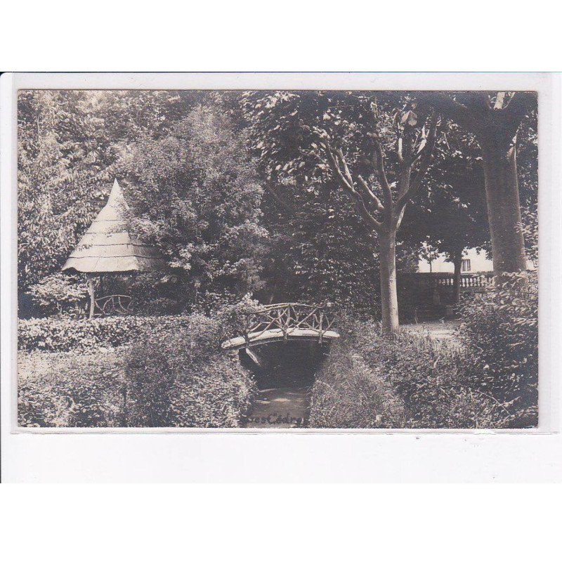 AVIGNON: les cedres - très bon état