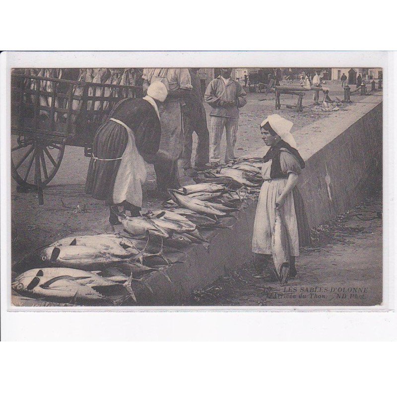 LES SABLES D'OLONNE: l'arrivée du thon - très bon état