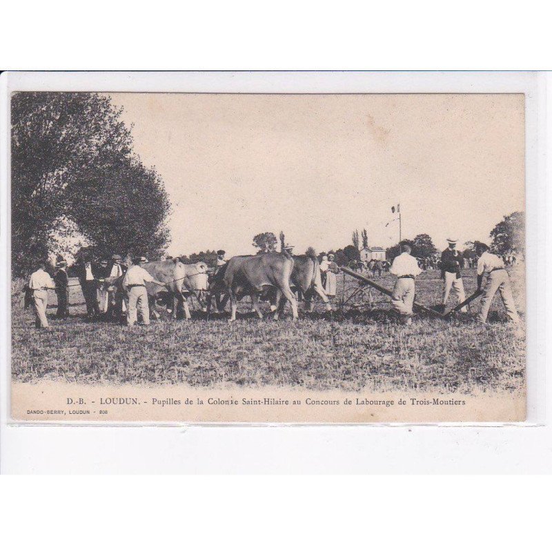 LOUDUN: pupilles de la colonie saint-hilaire au concours de labourage de trois-moutiers - état
