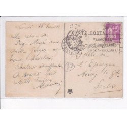 LE PALAIS-sur-VIENNE: le bas palais - très bon état