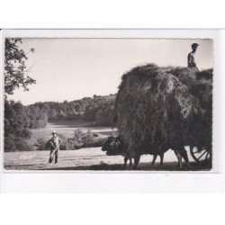 REMPNAT: la rentrée des foins - très bon état