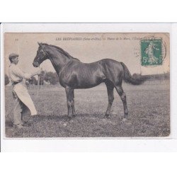 LES BREVIAIRES: haras de la mare, l'étalon - très bon état