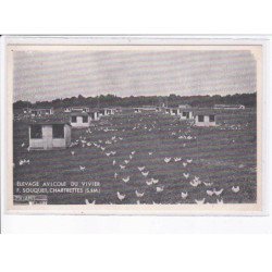 SEINE ET MARNE: élevage avicole du vivier F. Souquet, chartrettes - très bon état