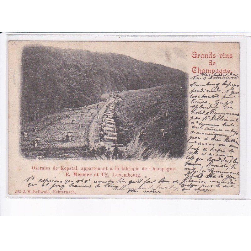 LUXEMBOURG: oseraies de kopstal, appartenant à la frabrique de champagne E. Mercier et Cie - très bon état