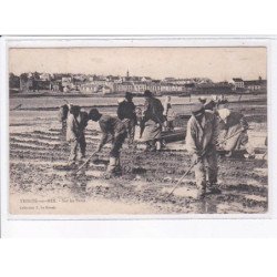 TRINITE-SUR-MER: sur les parcs - très bon état