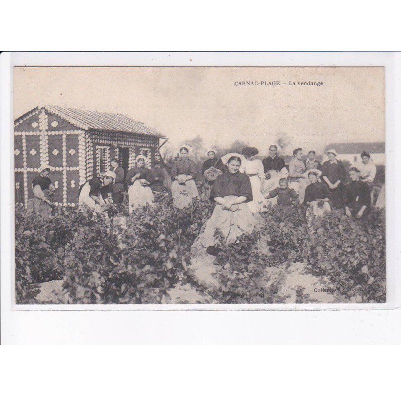 CARNAC-PLAGE: la vendanges - très bon état
