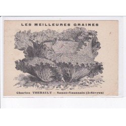SAUZE-VAUSSAIS: les meilleures graines, Charles Thebault - état