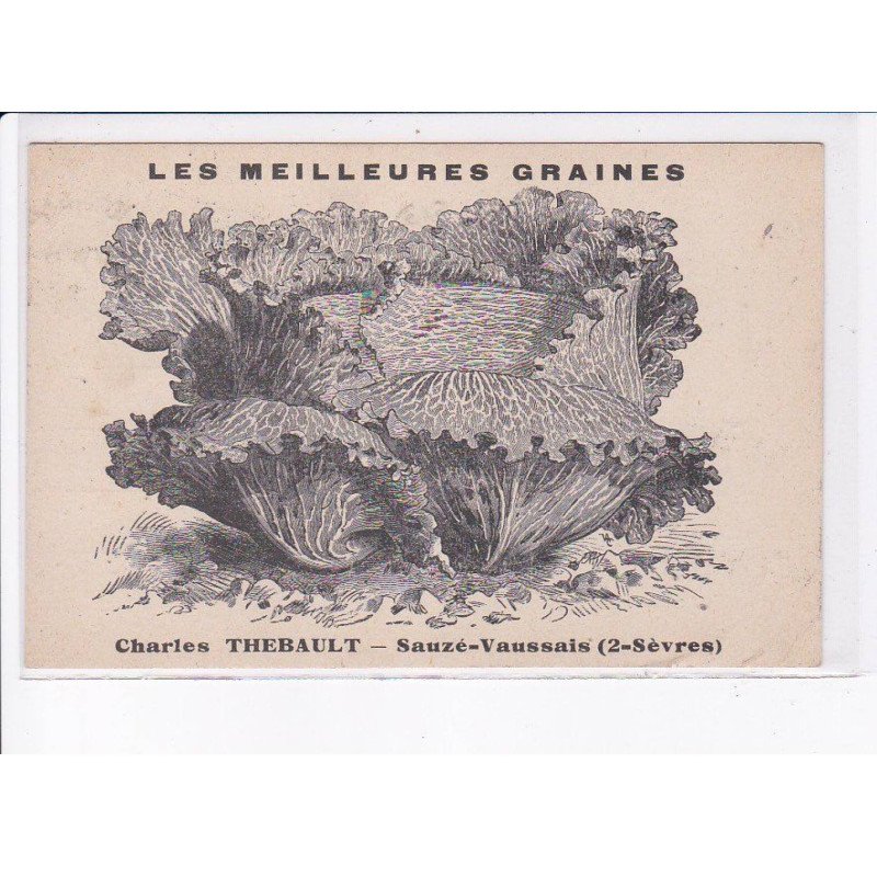 SAUZE-VAUSSAIS: les meilleures graines, Charles Thebault - état