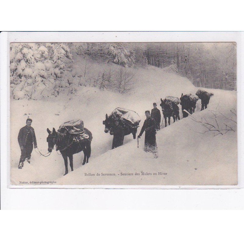 SERVANCE: ballon de servance, sentiers des mulets en hiver - état