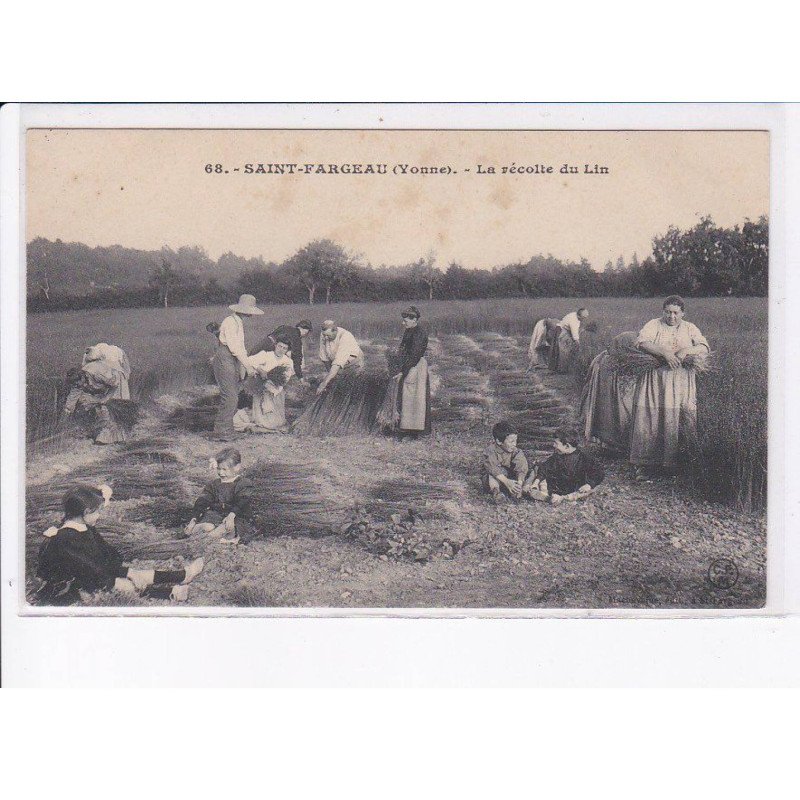 SAINT-FARGEAU: la récolte du lin - état