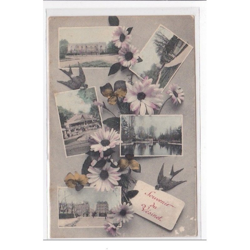 VESINET : souvenir de vezinet - tres bon etat