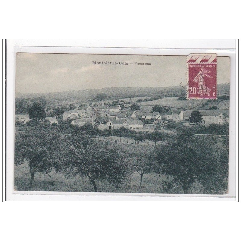 MONTALET-le-BOIS : panorama - etat